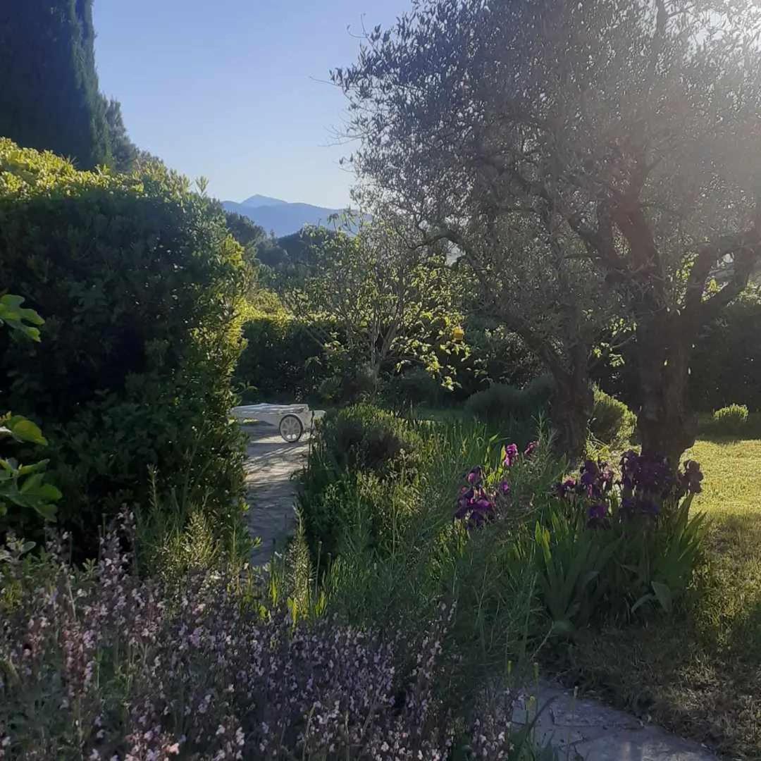 Les Verveines De Vaison Vaison-la-Romaine Exterior foto