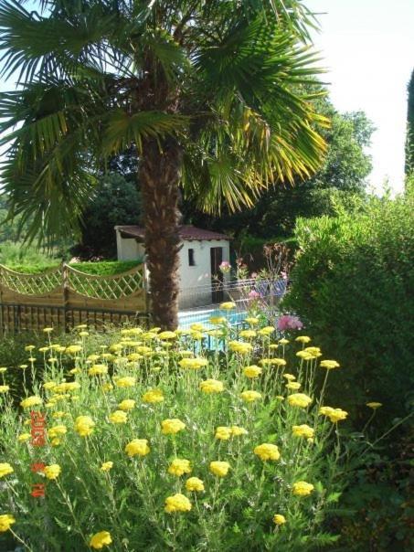 Les Verveines De Vaison Vaison-la-Romaine Exterior foto